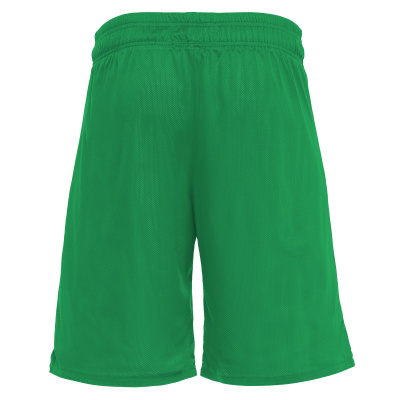 Шорты спортивные MACRON DENVER SHORT REVERSIBLE GREEN/WHITE