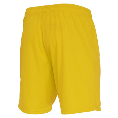 Шорты спортивные MACRON MESA HERO SHORT YELLOW