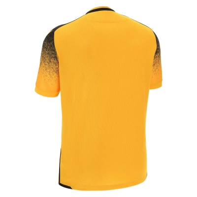 Футболка спортивная MACRON ALIOTH ECO SHIRT AMBER/BLACK