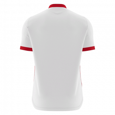 Футболка спортивная MACRON WYVERN ECO SHIRT WHITE/RED