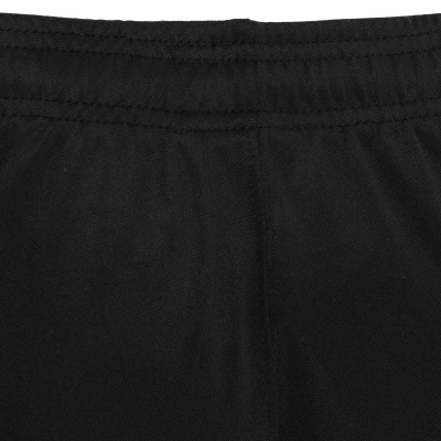 Бриджи тренировочные MACRON FINLAY TRAINING 3/4 PANT PRO BLACK