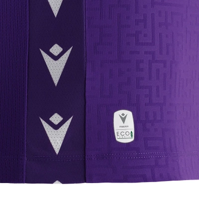 Футболка спортивная MACRON CYGNUS GK ECO SHIRT PURPLE/BLACK