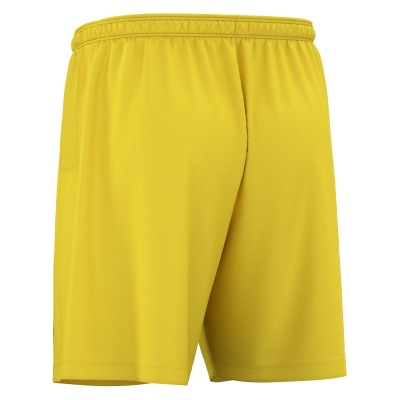 Шорты спортивные MACRON SKARA ECO SHORTS YELLOW