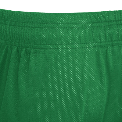 Шорты спортивные MACRON DENVER HERO SHORT REVERSIBLE GREEN/WHITE